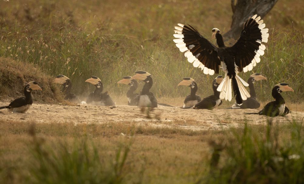 Photograph by Mishan Pravin Wijesinghe