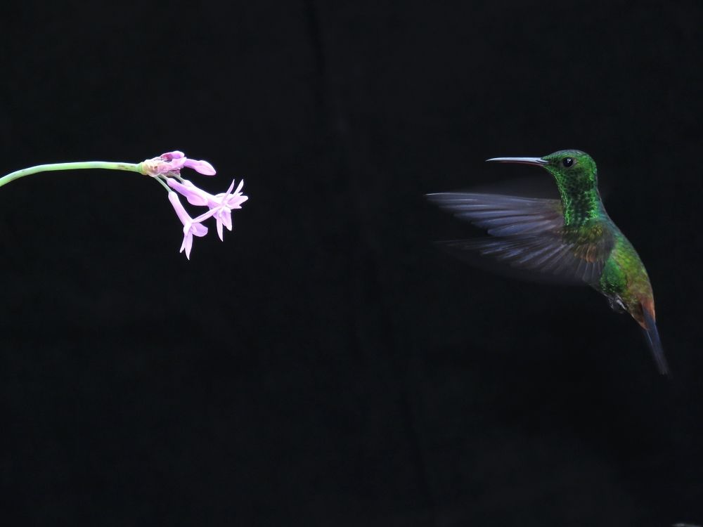 Photograph by Tomás Fernández