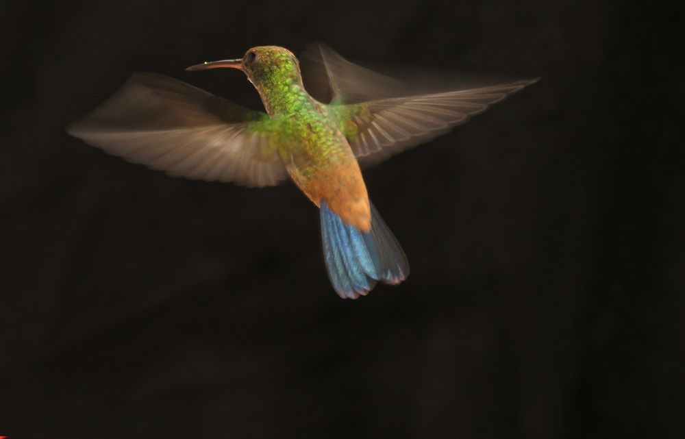 Photograph by Tomás Fernández