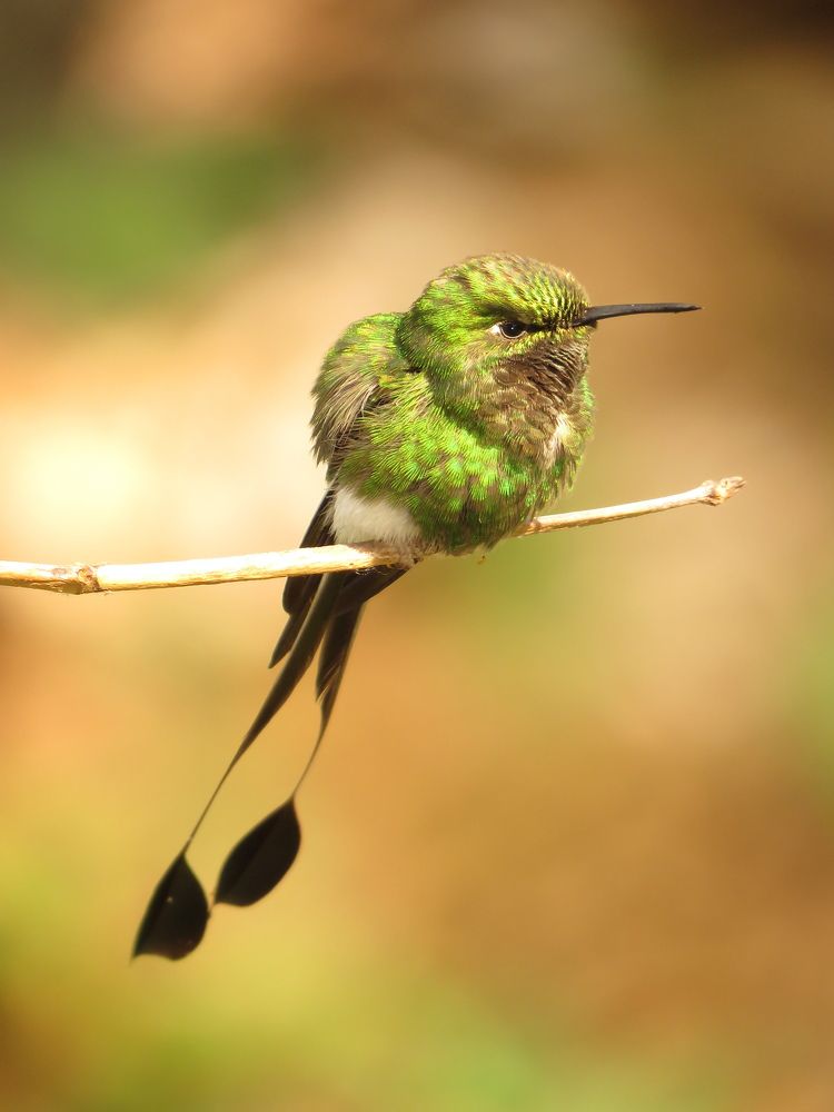 Photograph by Tomás Fernández