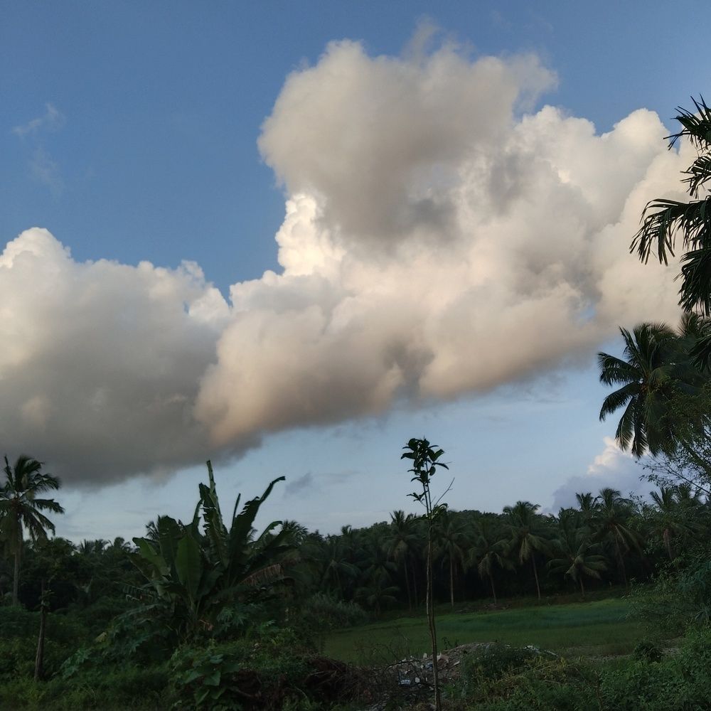 Photograph by Varsha Gatti