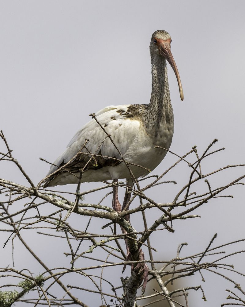 Фотография автора Ray Asiala