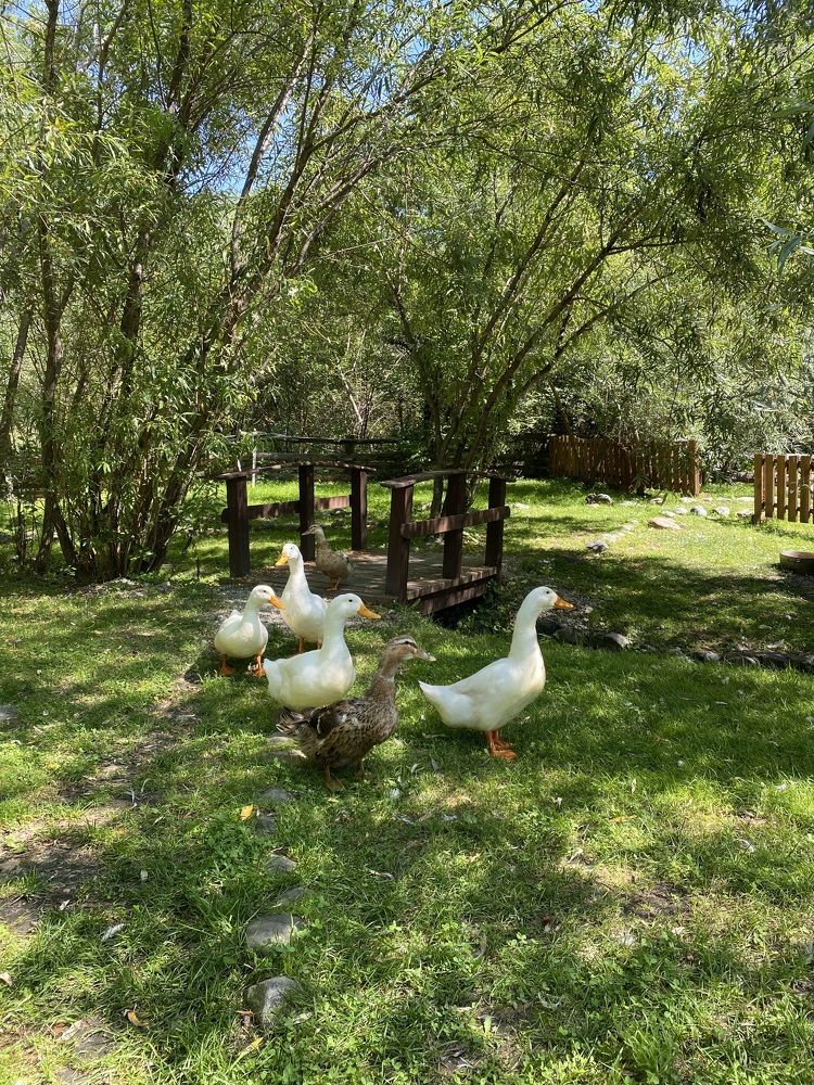 Photograph by Жанна Усатова