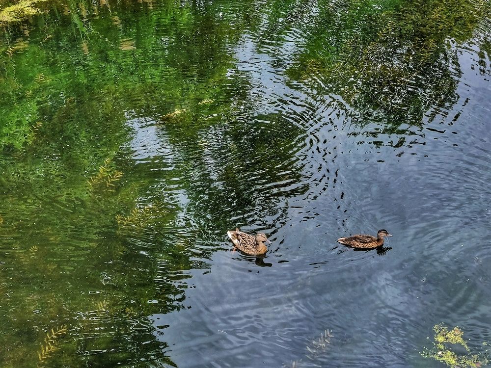 Photograph by Ирина Герлин