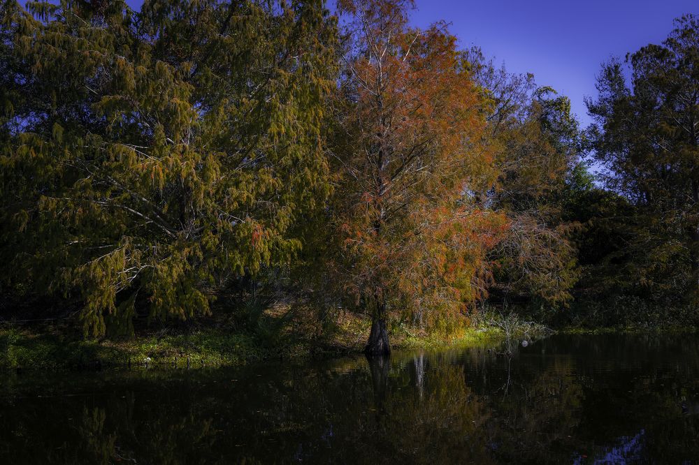 Фотография автора Ray Asiala