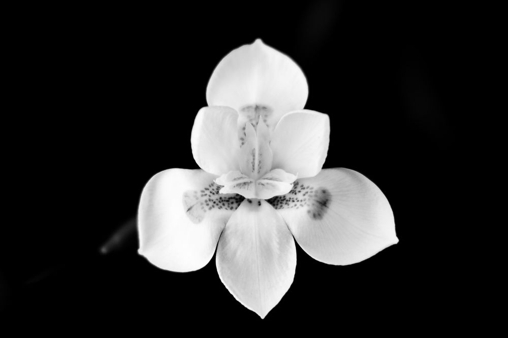 Photograph by Yenia Leyva