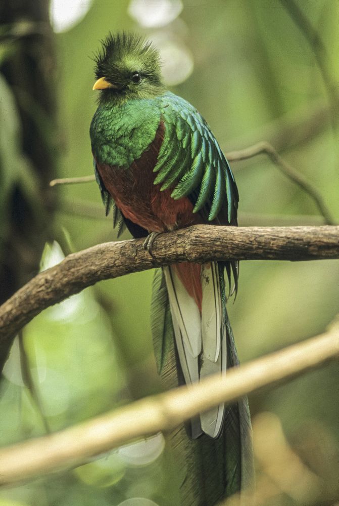 Photograph by gustavo gatto