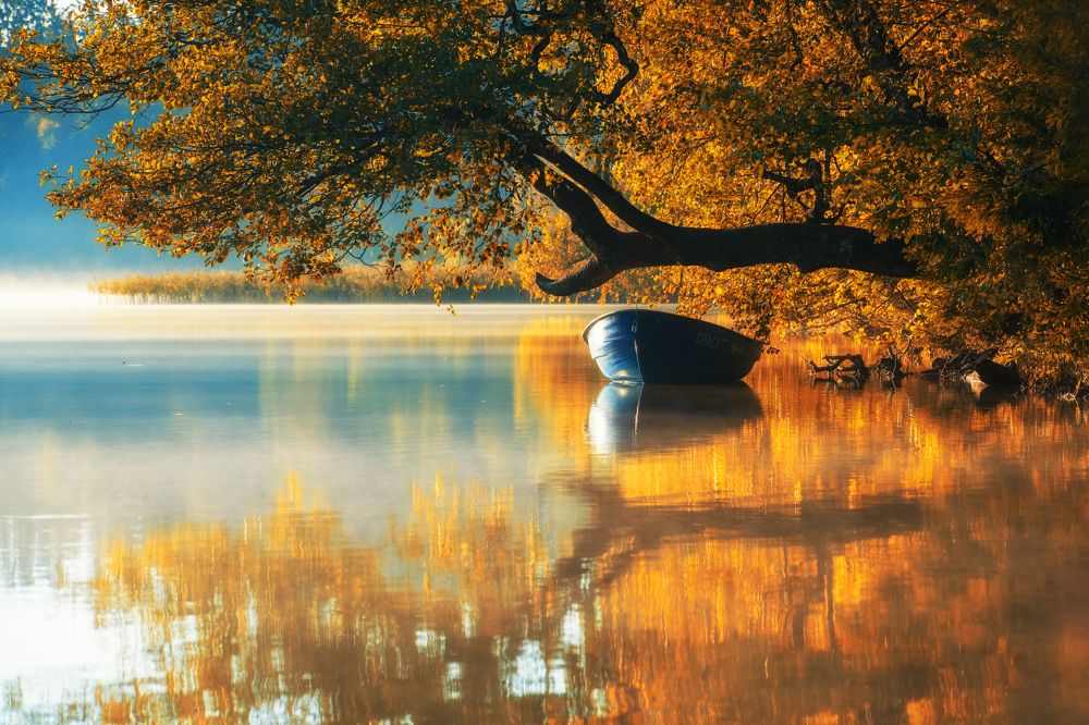 Фотография автора Дмитрий Гуринович