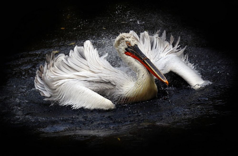 Photograph by Бибичков Михаил