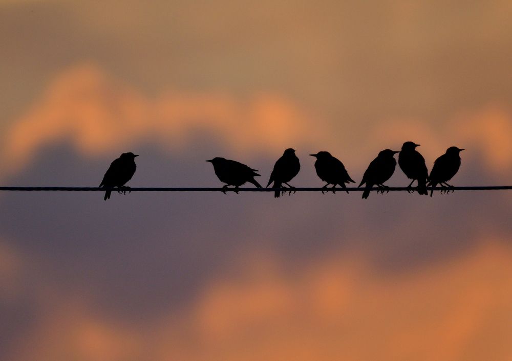 Фотография автора Дмитрий Гуринович