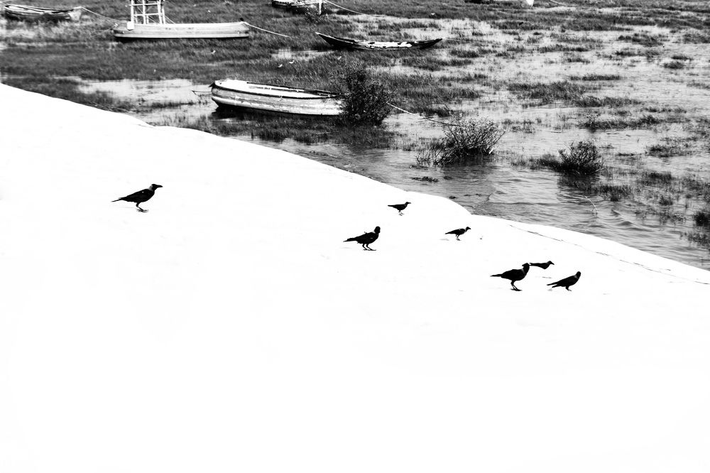 Photograph by Hasan Mehedi Amin