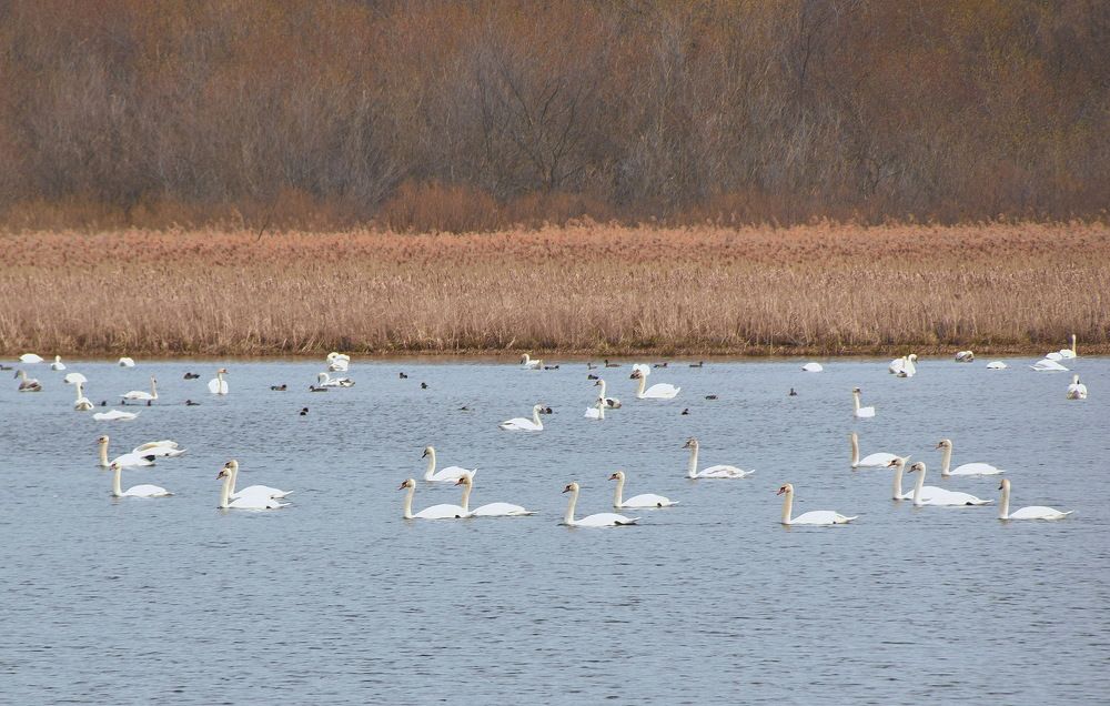 Photograph by Василий Быстрицкий