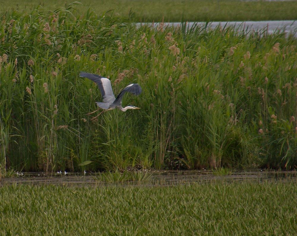 Photograph by Василий Быстрицкий