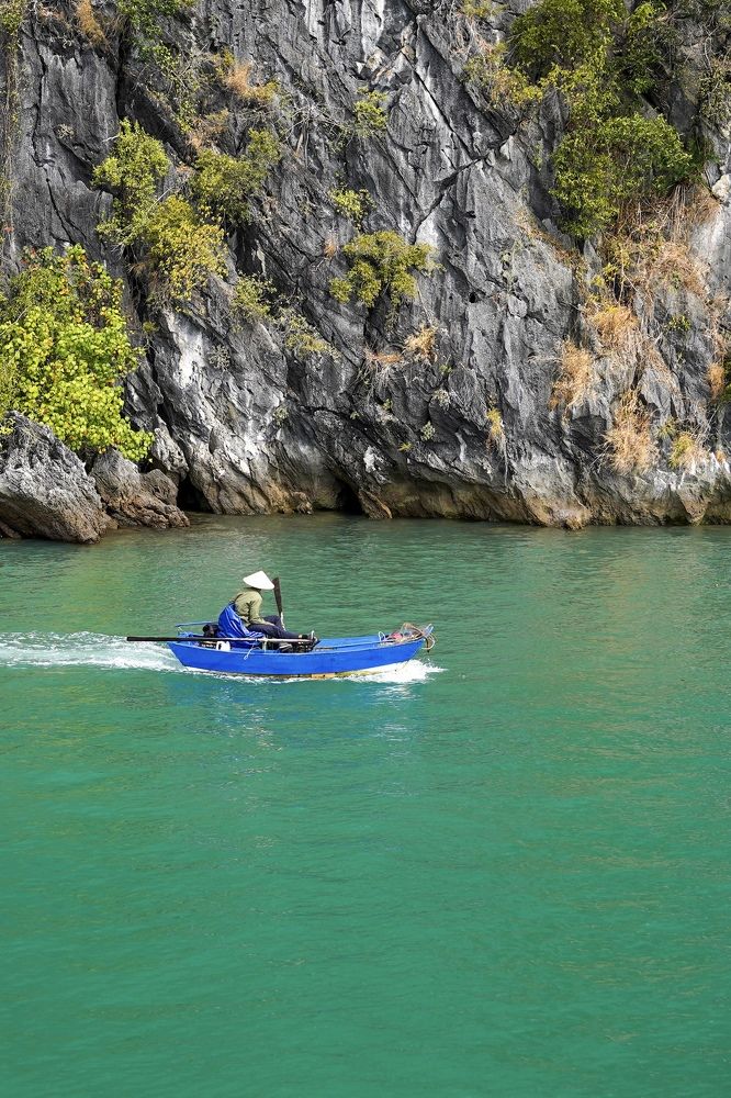 Photograph by Julia Andreeva