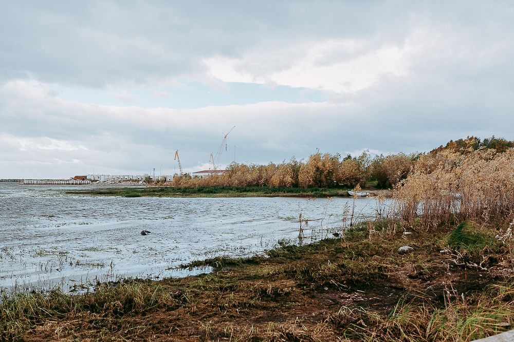 Photograph by Алена Полищук