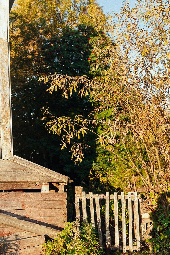 Photograph by Алена Полищук