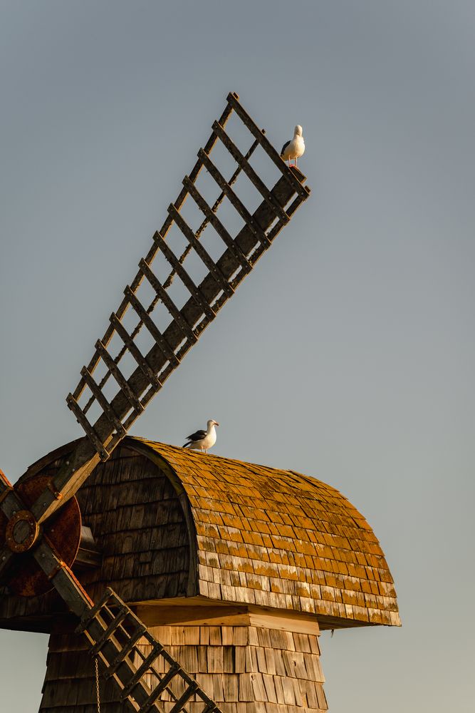 Photograph by Anna Vlasova