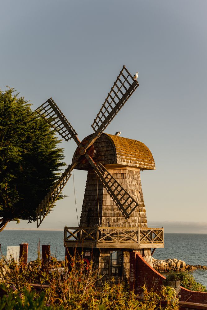 Photograph by Anna Vlasova