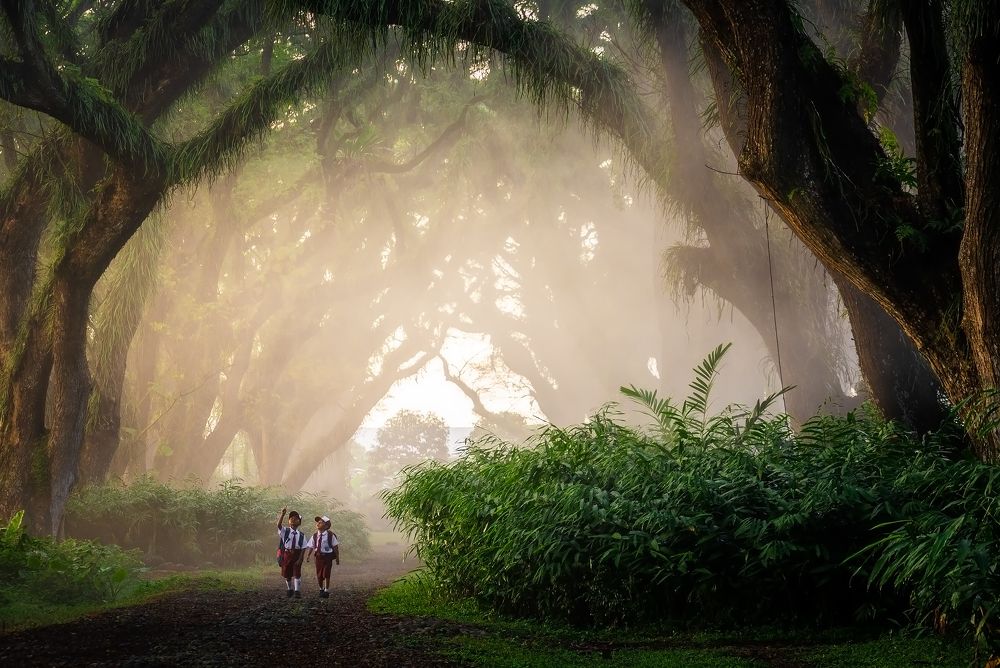 Фотография автора Wahid Hasyim