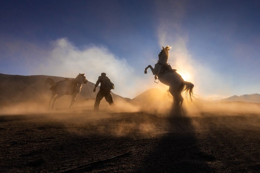 Фотография автора Wahid Hasyim