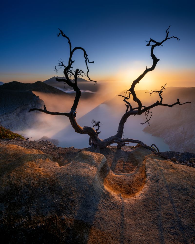 Фотография автора Wahid Hasyim