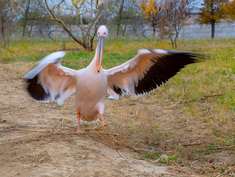 Photograph by Иван Логвинов