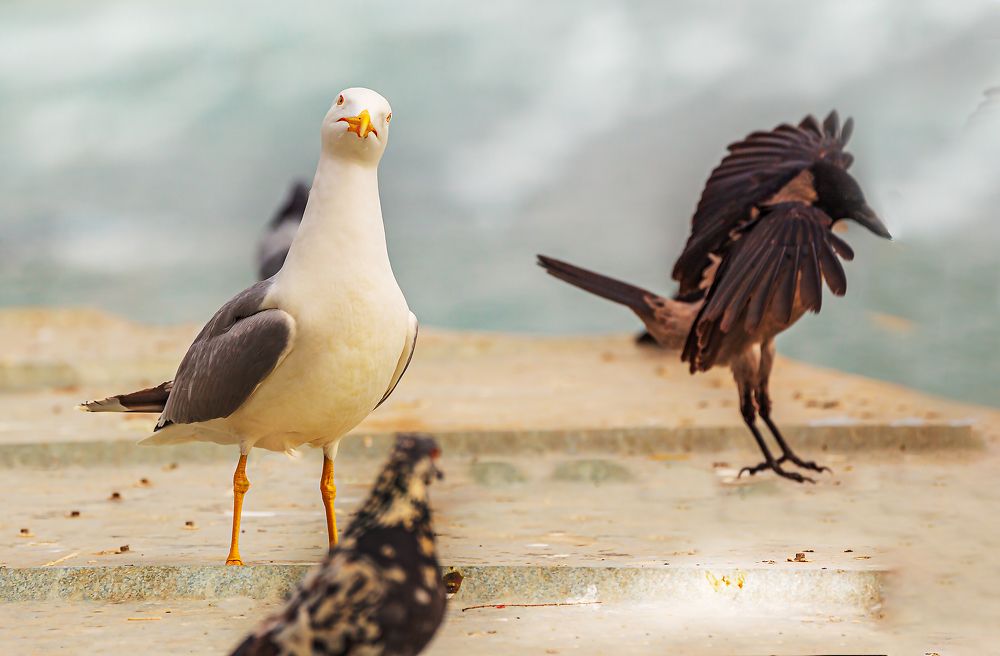 Photograph by Иван Логвинов