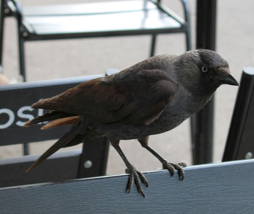 Photograph by Olga Bagaeva