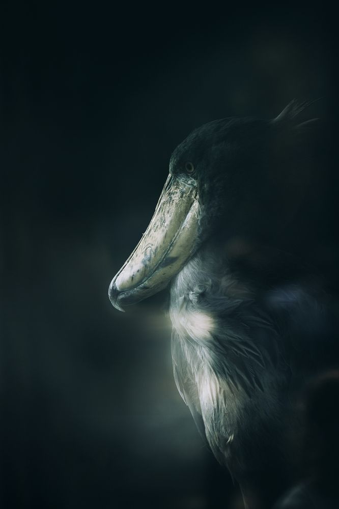 Photograph by Романова Марина