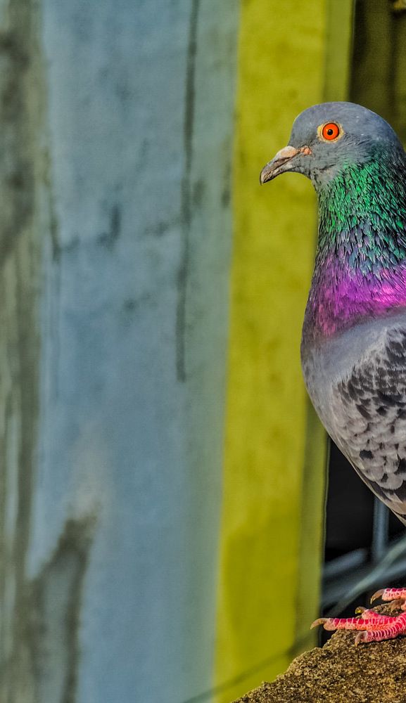 Photograph by Priyanka Dey Das