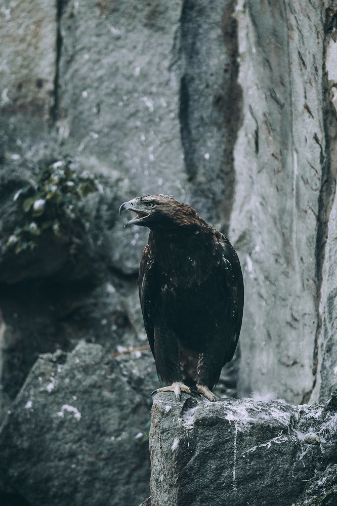 Photograph by Романова Марина