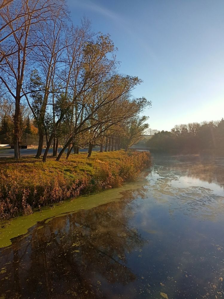 Фотография автора Татьяна Шахова
