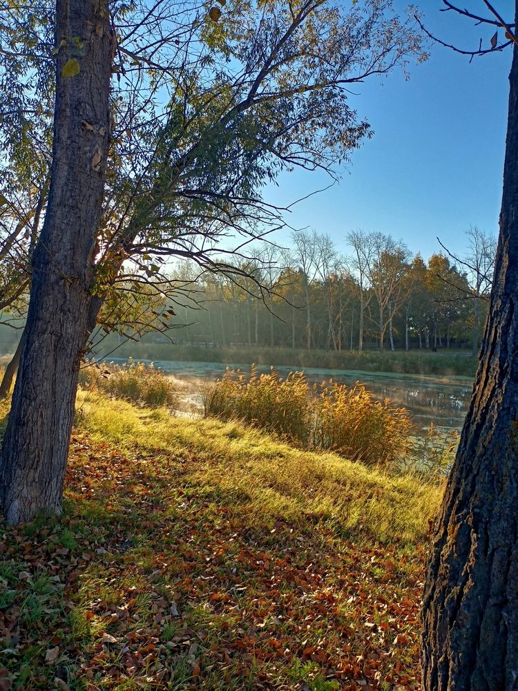 Фотография автора Татьяна Шахова