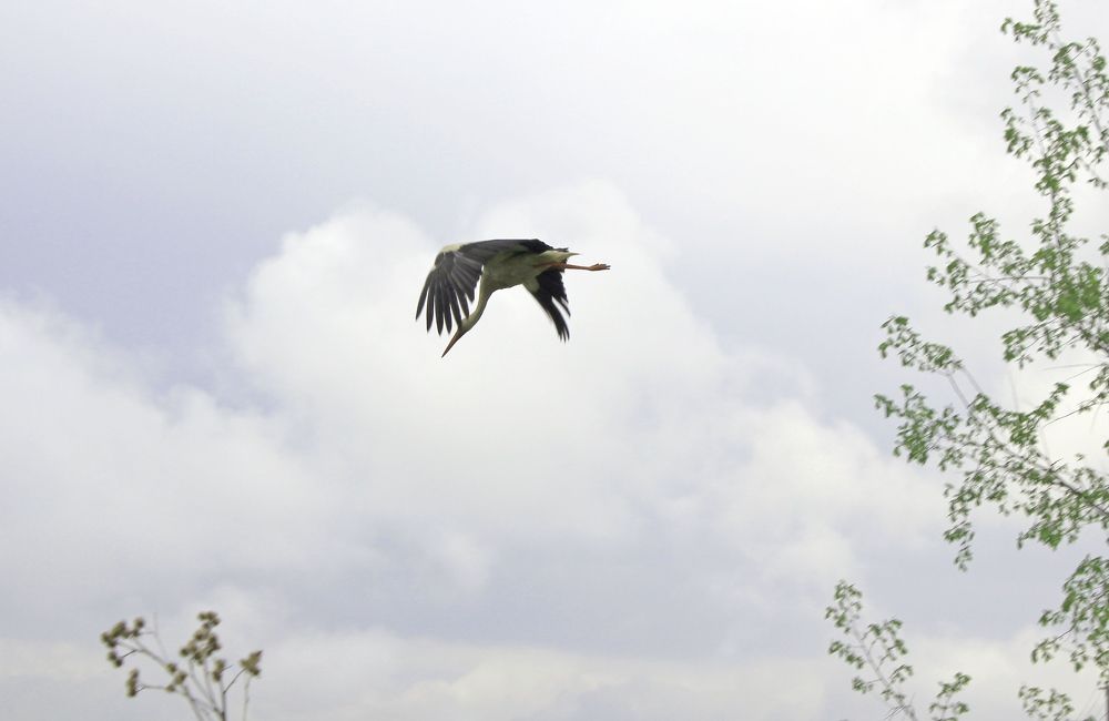 Photograph by Olga Bagaeva