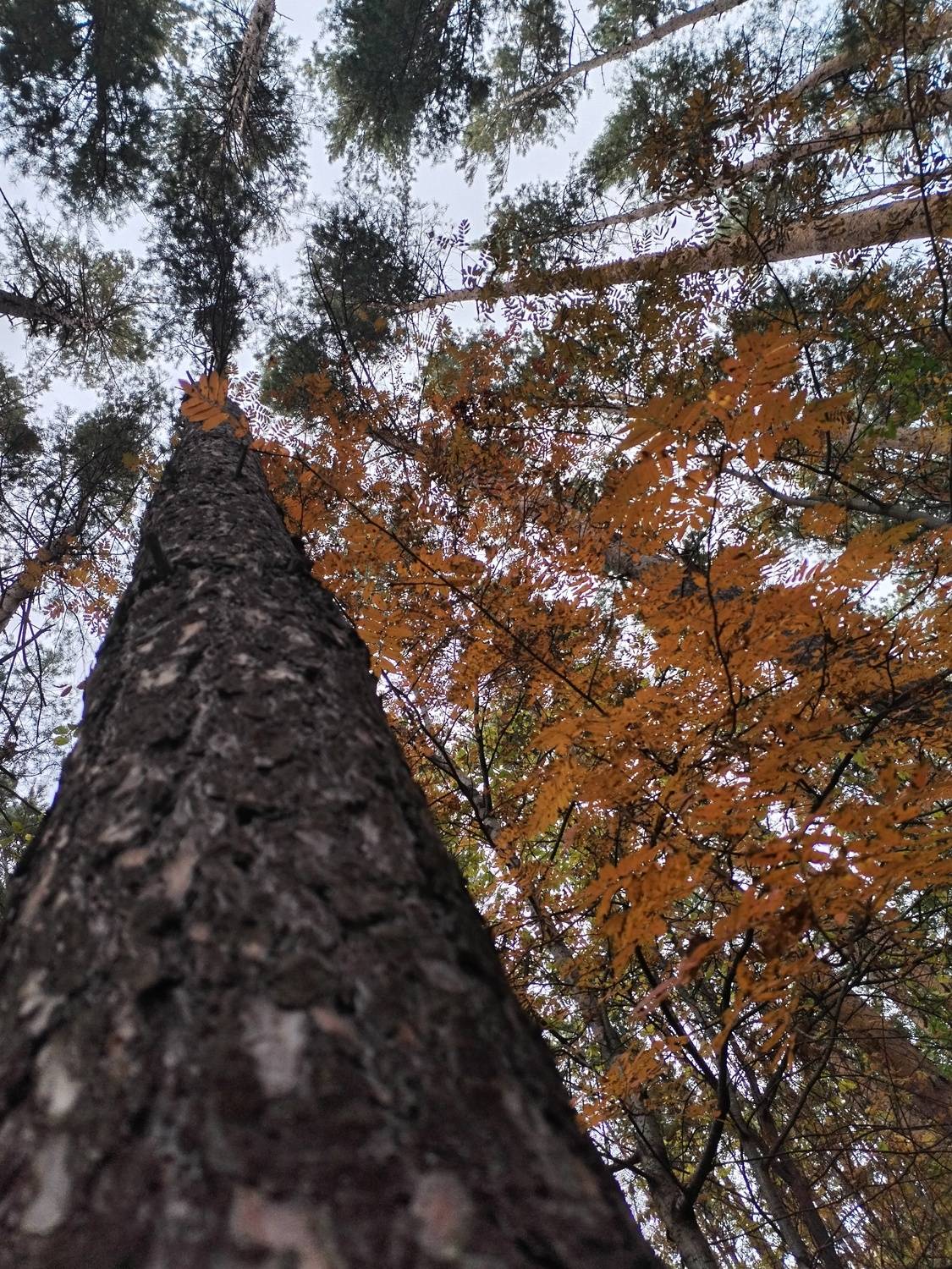 Photo #11082656