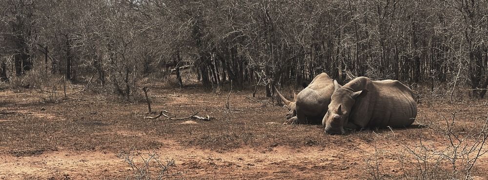 Photograph by Andrew Becker