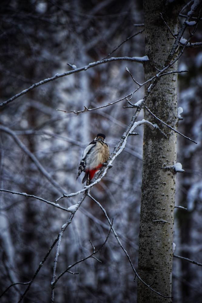 Photograph by Митюшкова Алёна