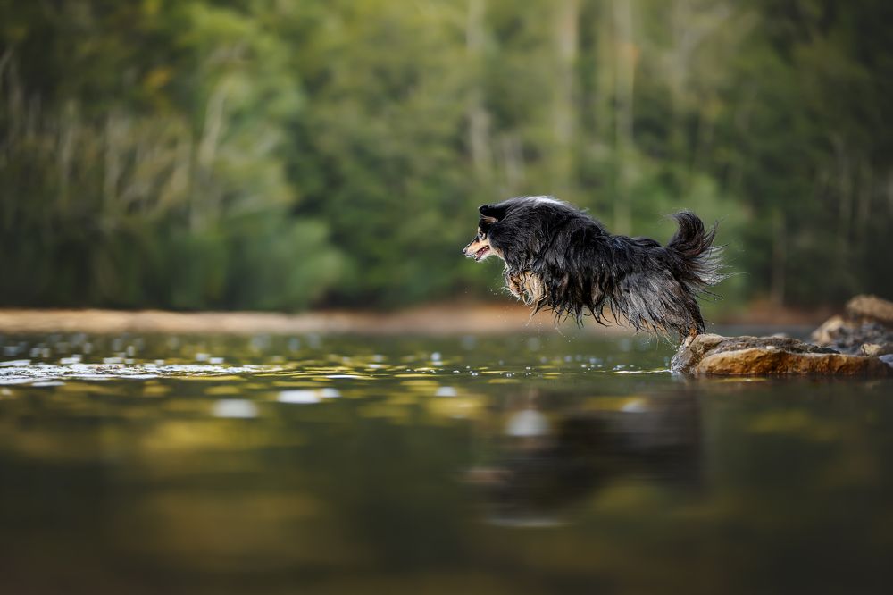 Фотография автора Rut Casanellas