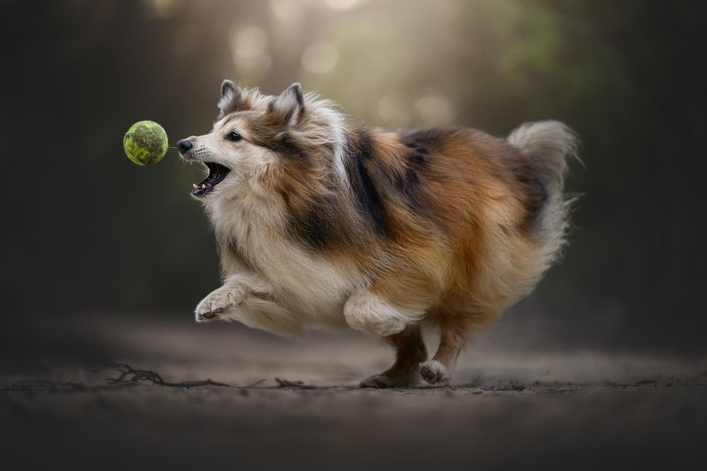 Фотография автора Rut Casanellas