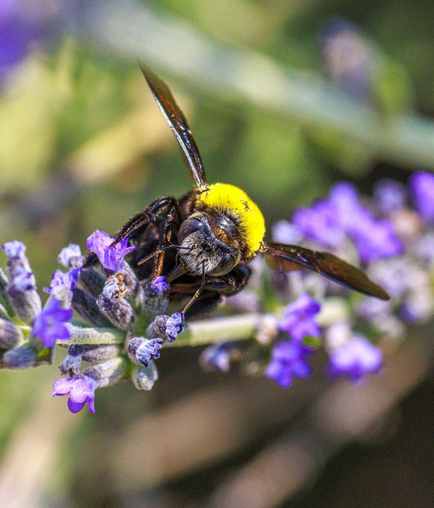 Photograph by Ken Stavrou