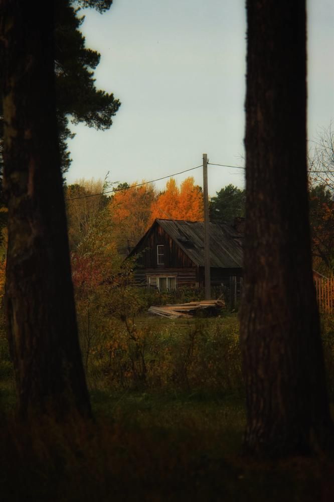 Photograph by Митюшкова Алёна