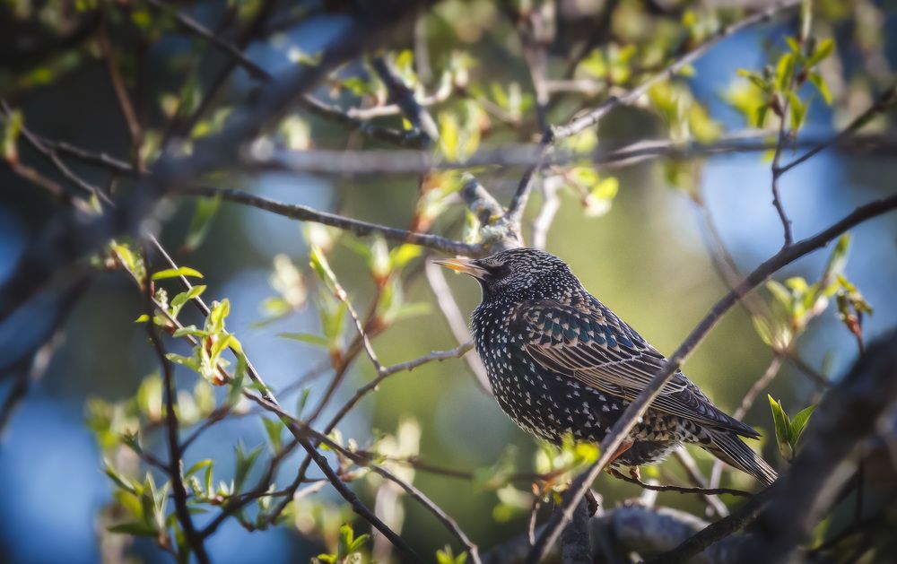 Photograph by Зеленько Дмитрий