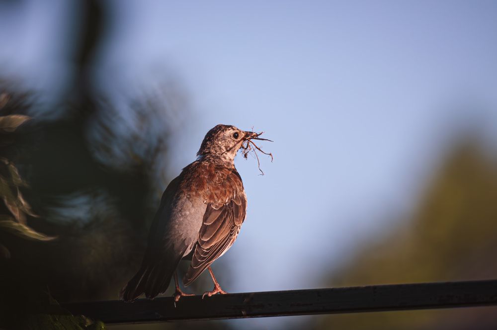 Photograph by Зеленько Дмитрий