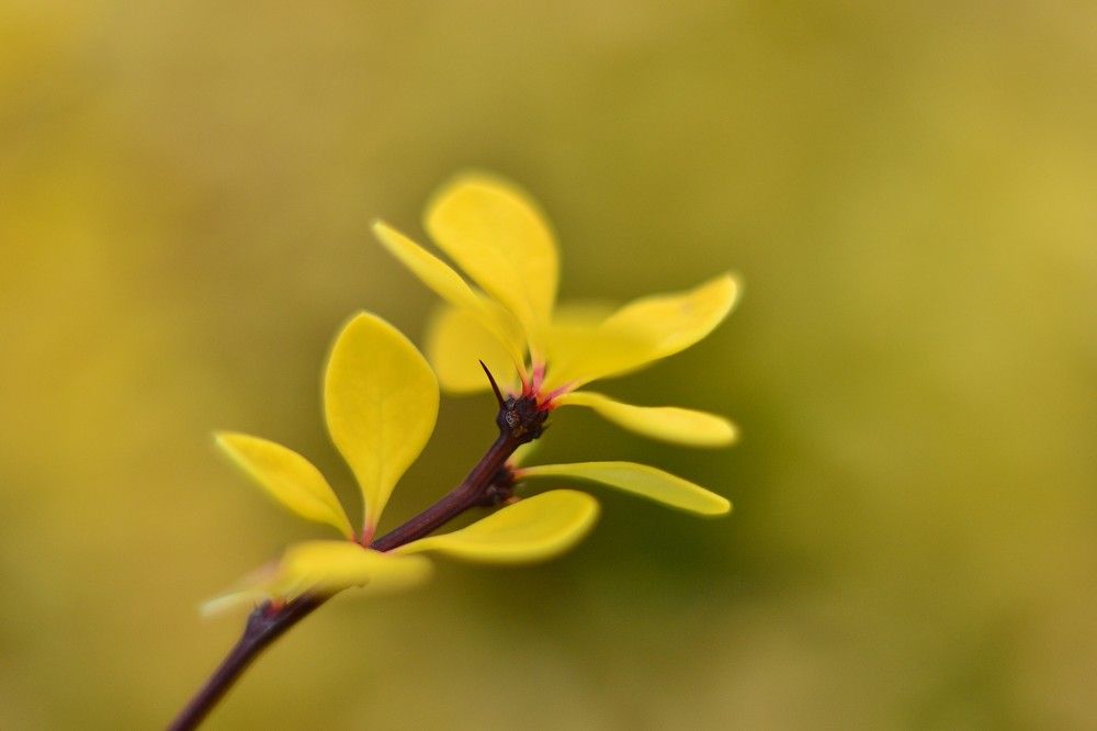 Photograph by Olga Mishenina