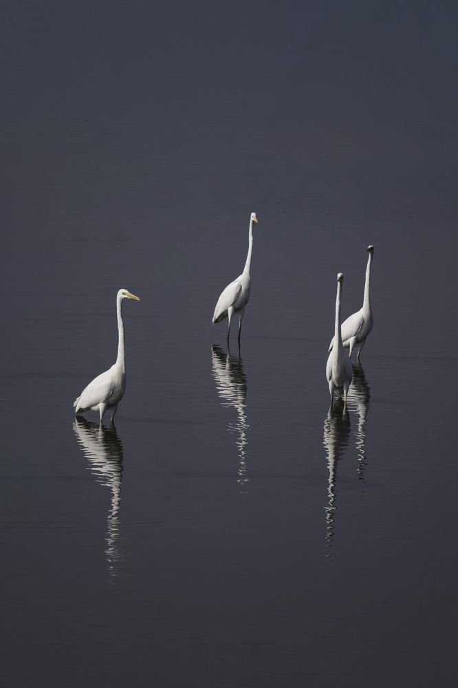 Photograph by Leonid Radashkovsky