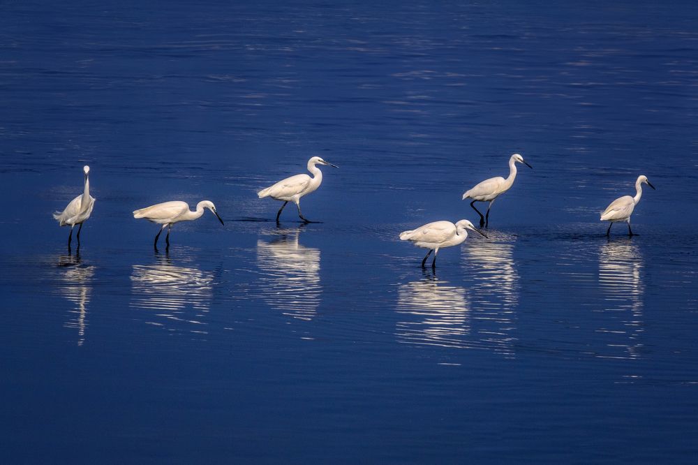 Photograph by Leonid Radashkovsky