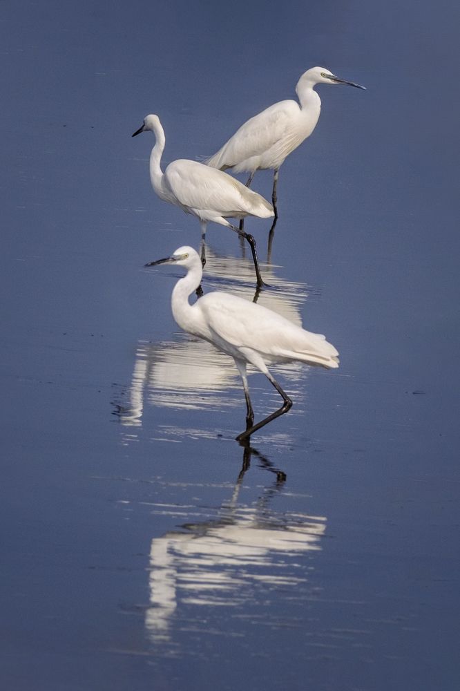 Photograph by Leonid Radashkovsky