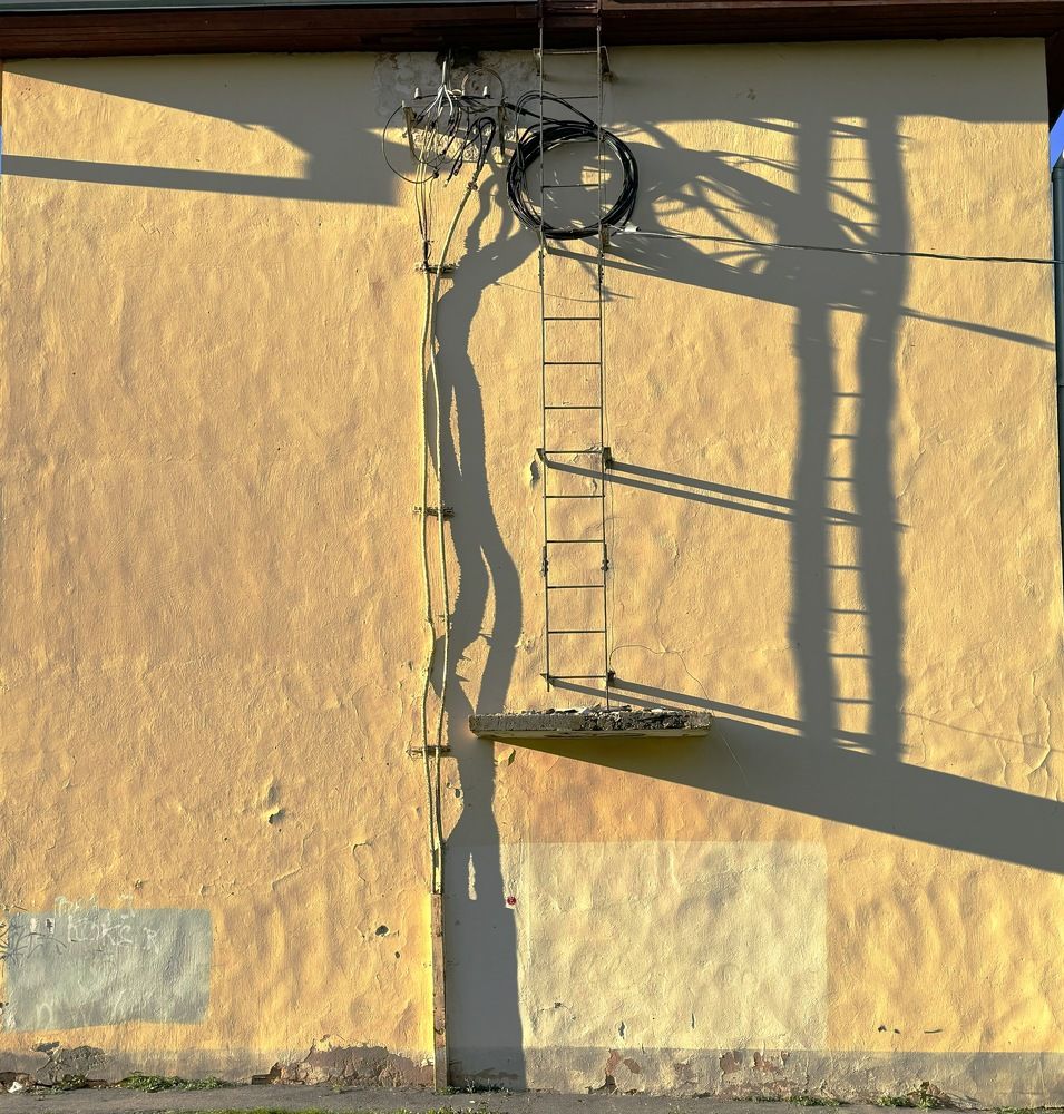 Photograph by Мария Вершинина