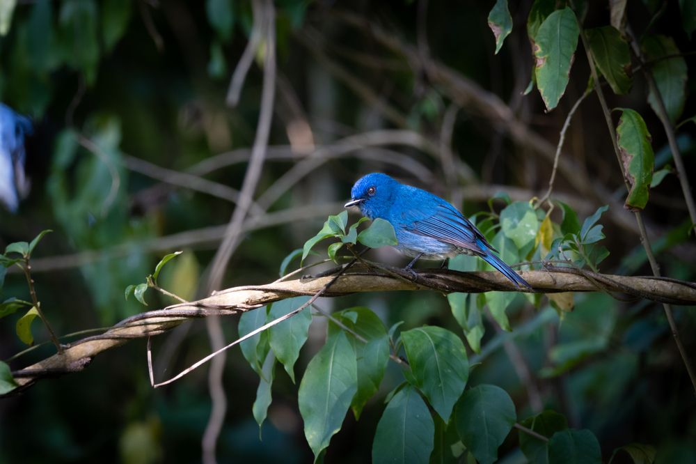Photograph by Nandhakumar Velumani
