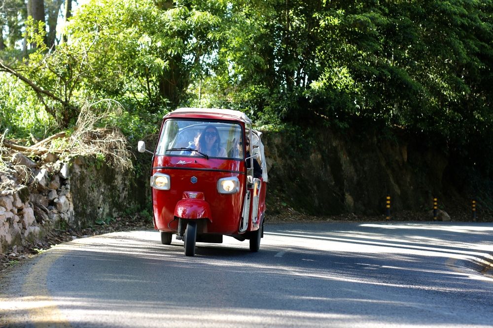 Photograph by Екатерина Позднякова